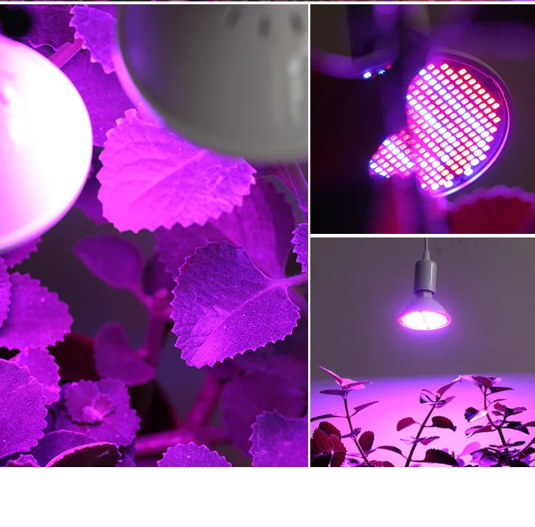 LED Plant Grow Light LED Lamp E27 Plant Lamp Fitolamp Full Spectrum Indoor Hydroponics Flower Seedling LED Spotlight Bulb