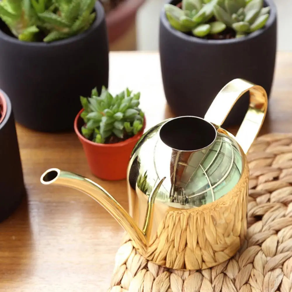 500ML Bonsai Plant Flower Watering Can Watering Pot Long Spout Garden Plant Flower Water Can Regadera Plantas Лейка Для Цветов