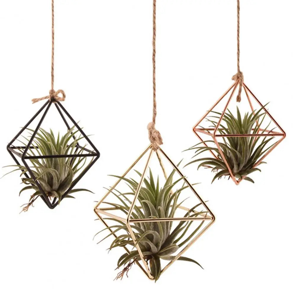 Hollow Flowerpot Propagation Stations Glass Hanging Geometric Plant Iron Stand Air Plant Holder Wedding Home Dinning Room Decor