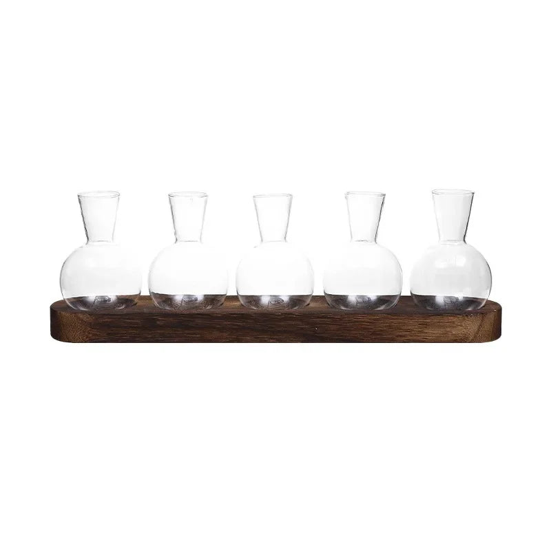 Glass Terrarium for Plants with Wooden Tray – For indoor propagation hydroponic vase，Desktop Home Office Decoration