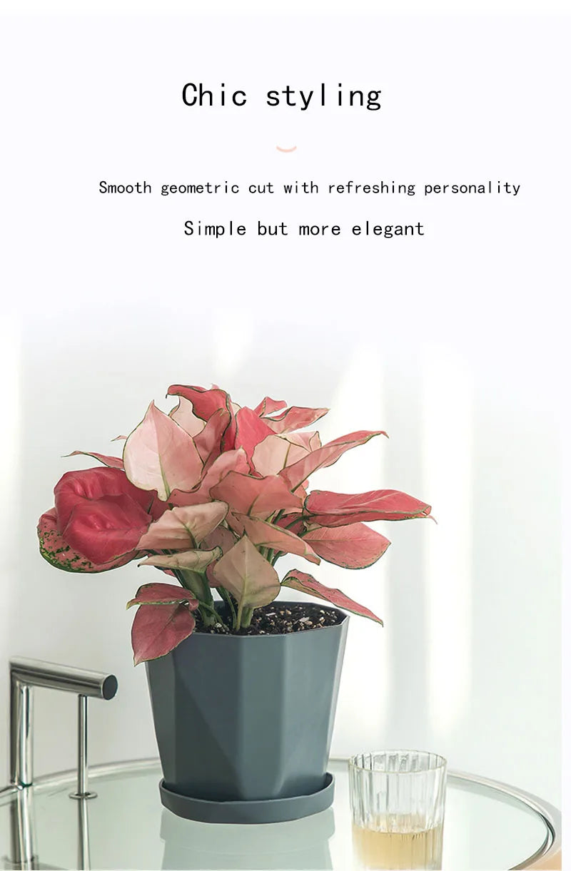 Plastic Flower Pots for Indoor and Outdoor, Large-Diameter Flower Pots, Succulent Plants, Green Plants