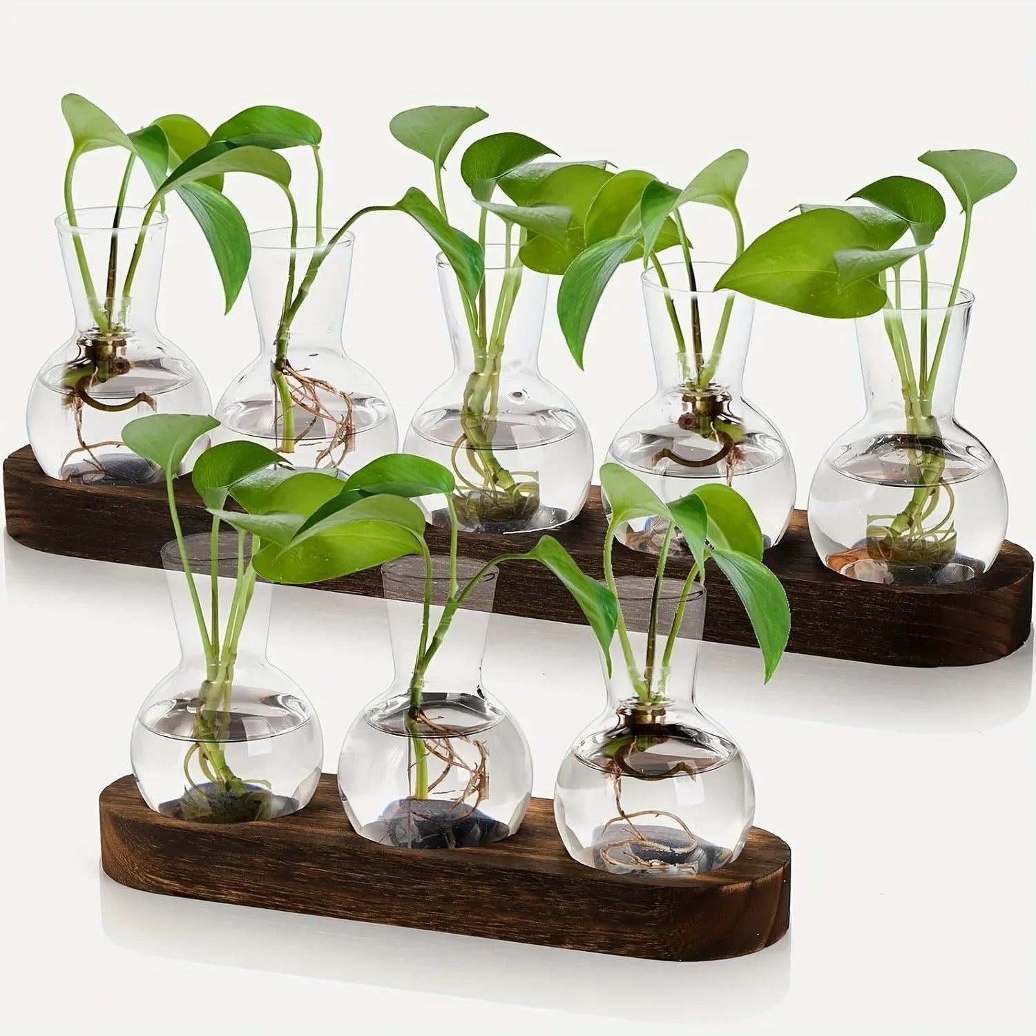 Glass Terrarium for Plants with Wooden Tray – For indoor propagation hydroponic vase，Desktop Home Office Decoration