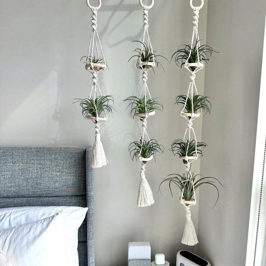 Macrame Plant Hangers Air Plants Hanging Basket Wall Hanging Handcrafted Air Plants Hanger Boho Home Decoration Room Decor Gift