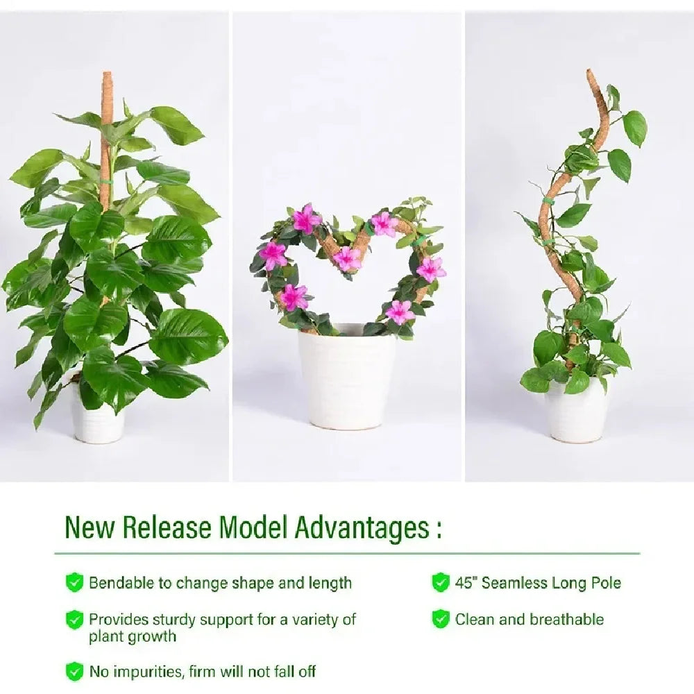Deformable Plant Scaffold Useful Things for Garden Accsesories Plants Accessories Outdoor Decor Stand Indoor Support Tutors Home
