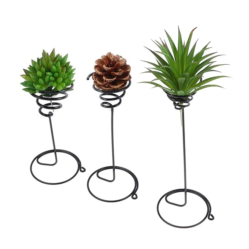Air Plants Container Air Plant Holder Iron Flower Stand Tillandsia Holder For Displaying Home Office Desktop Decoration 3 Sizes