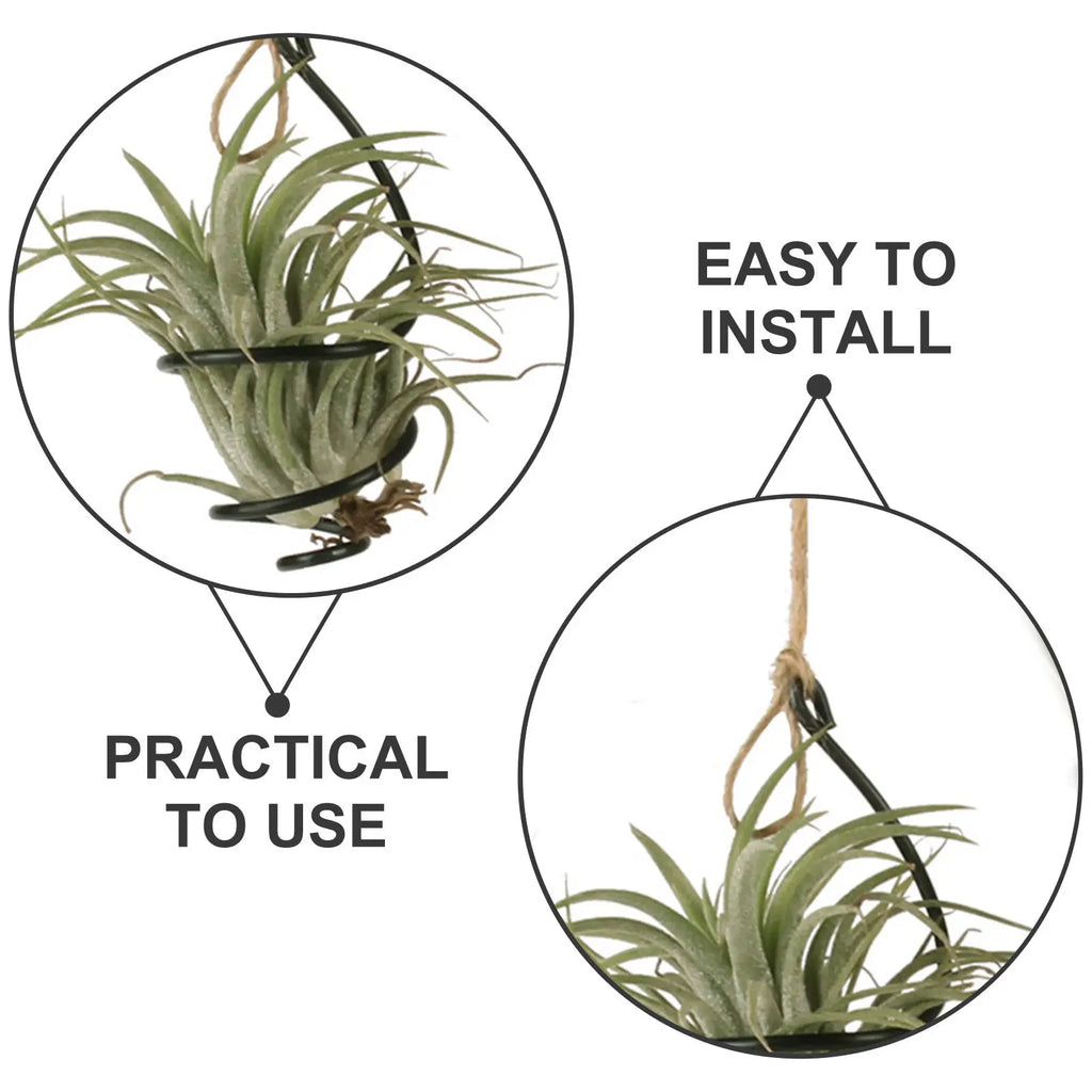 12Set Air Plant Holders Spiral Metal Soilless Stand Hanging Tillandsia Display Container Home Office Succulent Wall Decor